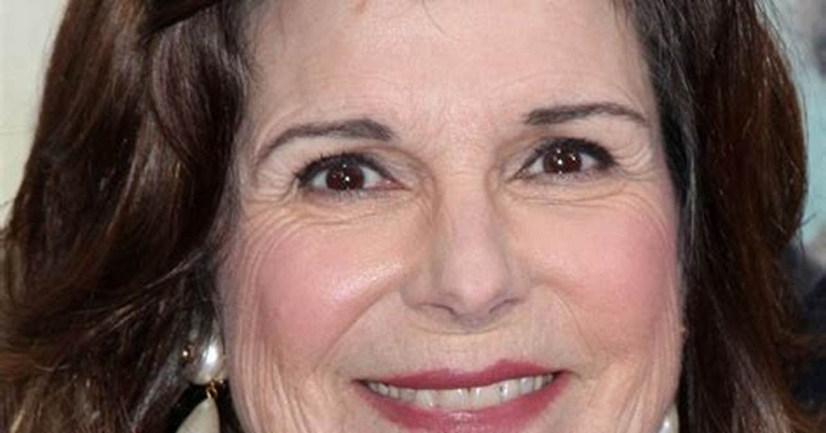 Susan St. James Today: a Journey Through Time