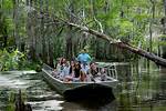 Swamp People: Life in the Bayou & Beyond