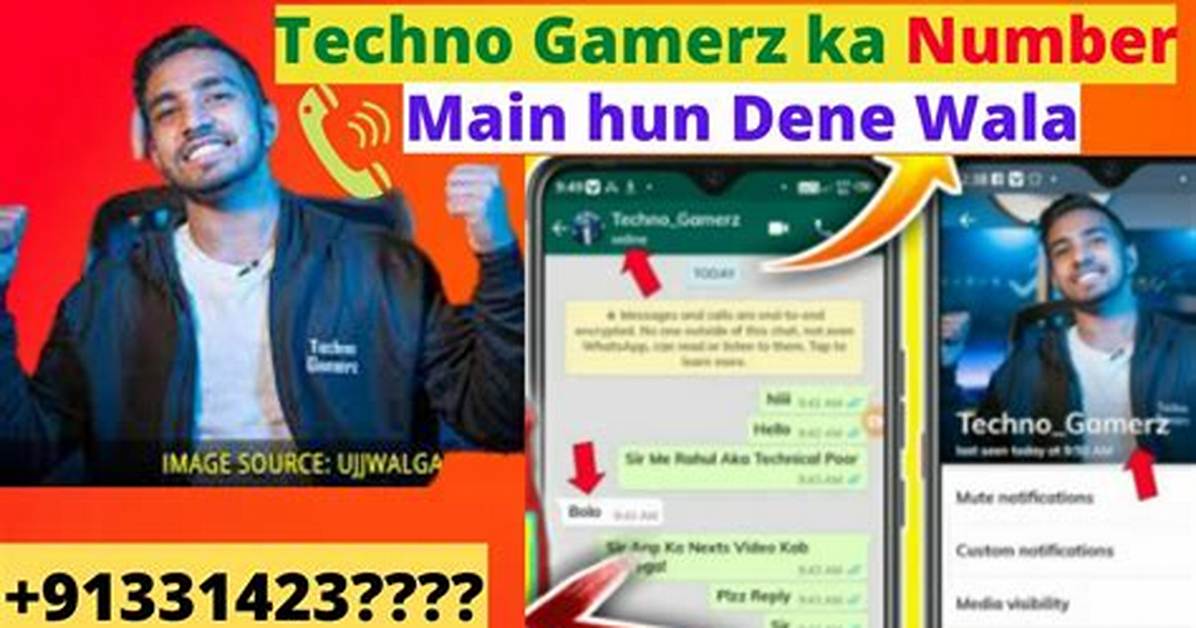 Techno Gamerz Ujjwal Phone Number Whatsapp Number
