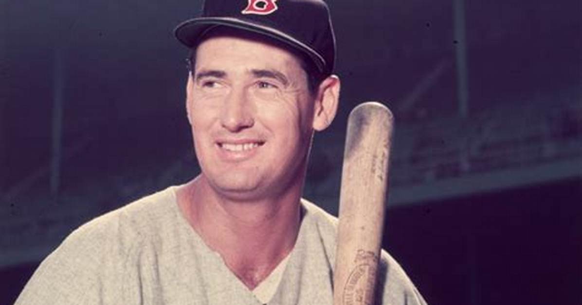 Ted Williams Net