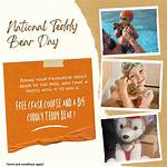 Teddy's Swim: an Amazing Life Story!