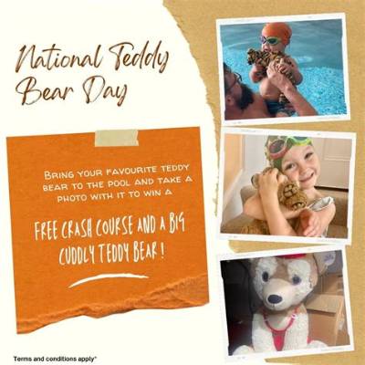 Teddy's Swim: an Amazing Life Story!