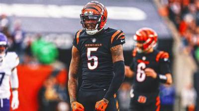 Tee Higgins Net Worth: Details About Age, Income, Nfl, Career, Wife, Home - Sarkariresult