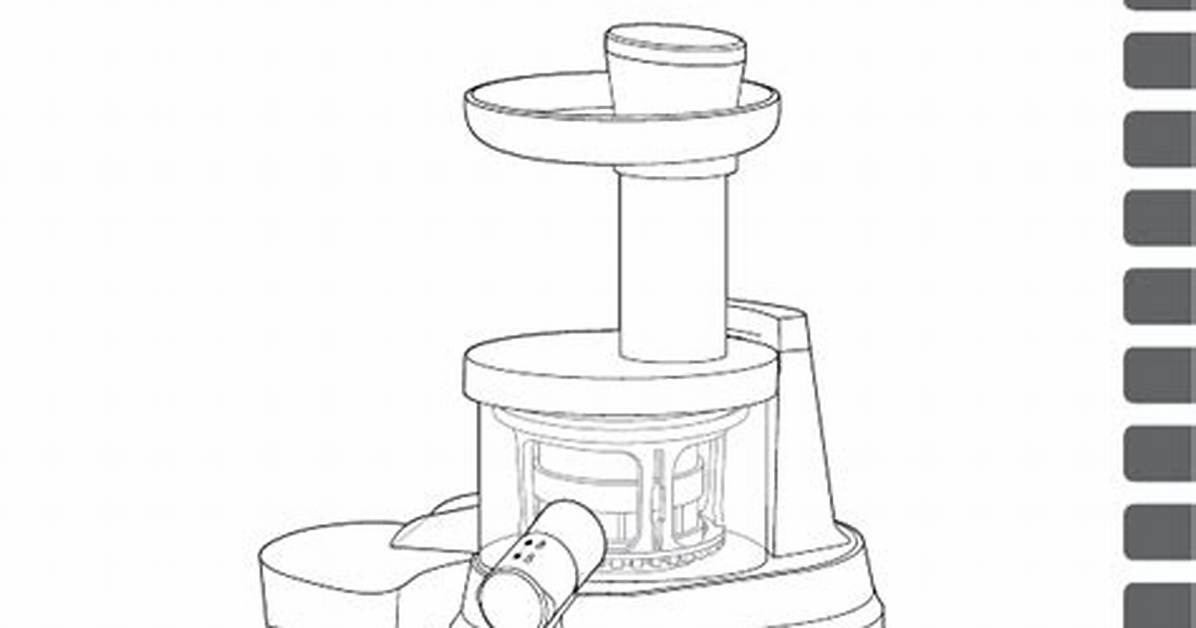 Tefal Juice Master Instructions