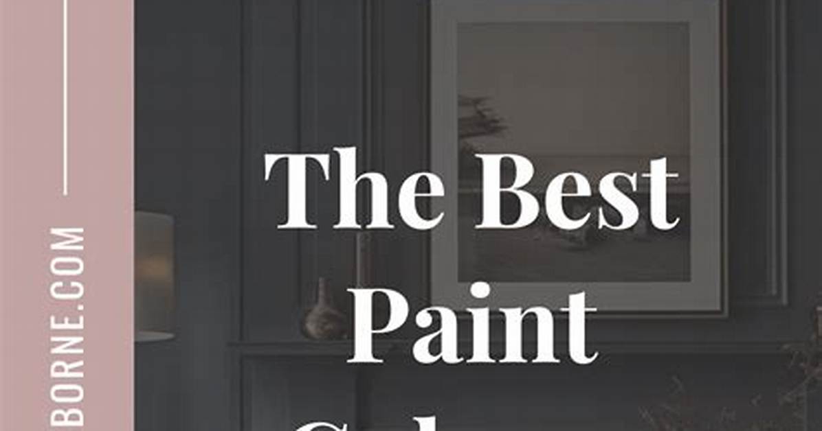 Tenant Redecorates Room with Dark Colours Paints Wc and Sink Black His