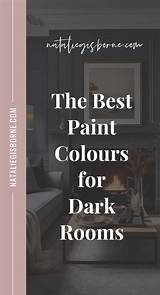 Tenant Redecorates Room with Dark Colours, Paints Wc and Sink Black, His Landlady Cries