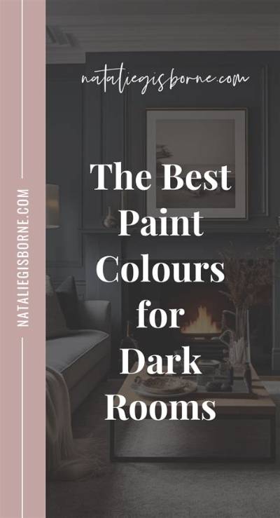 Tenant Redecorates Room with Dark Colours, Paints Wc and Sink Black, His Landlady Cries