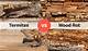 Termite Damage Vs. Wood Rot