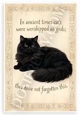 Terry Pratchett: 'In Ancient Times Cats Were Worshipped as Gods; They Have Not Forgotten This.'