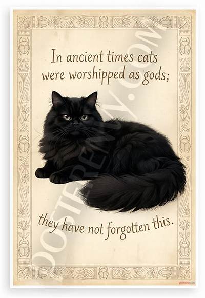 Terry Pratchett: 'In Ancient Times Cats Were Worshipped as Gods; They Have Not Forgotten This.'