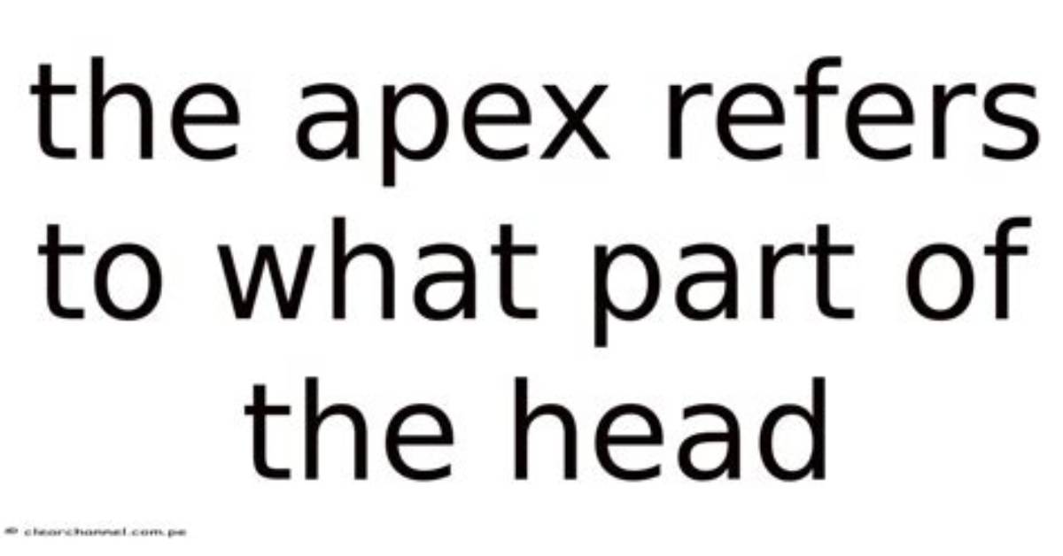 The Apex Refers to What Part of the Head