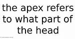 The Apex Refers to What Part of the Head
