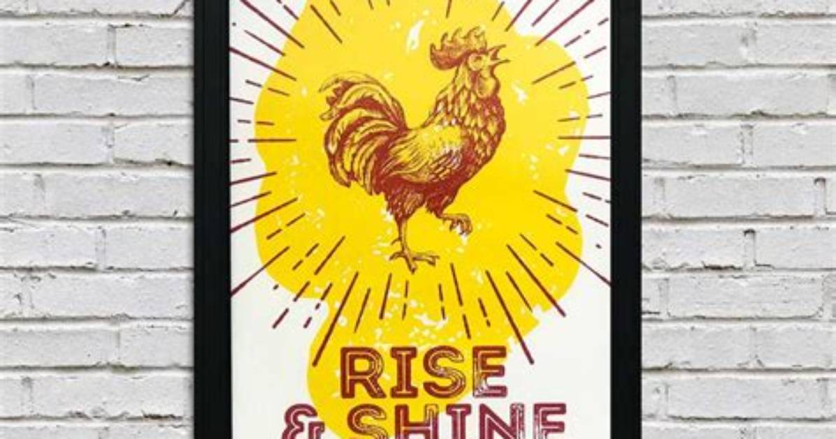 The Astonishing Rise of Rooster