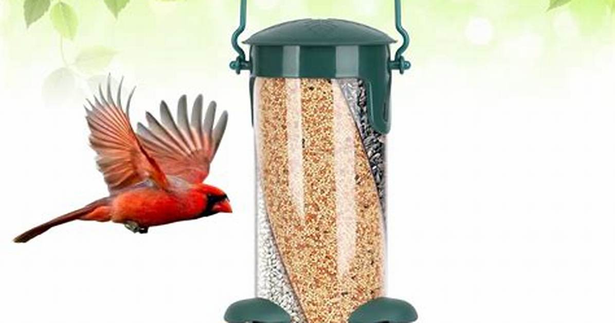 The Best Color for Bird Feeders