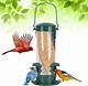 The Best Color for Bird Feeders