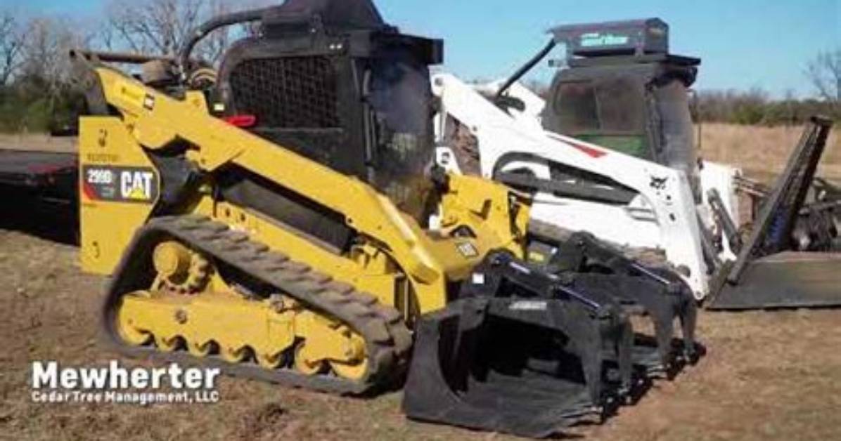 The Best Equipment to Remove Cedar Trees