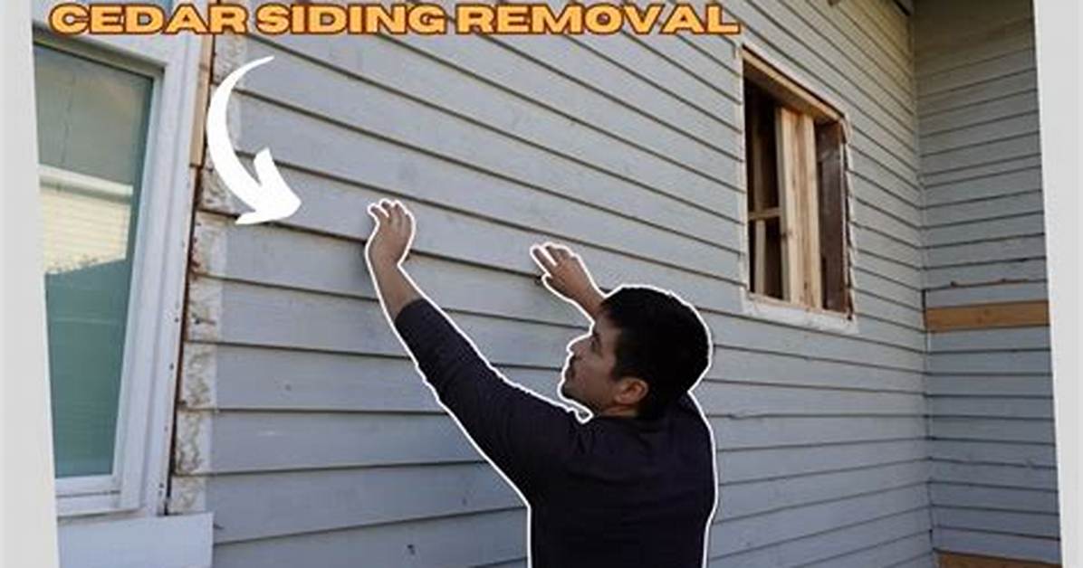 The Best Equipment to Remove Cedar