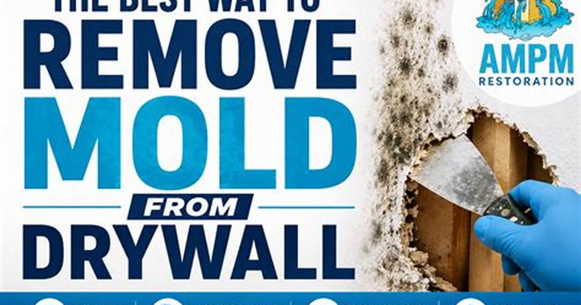 The Best Way to Remove Mold