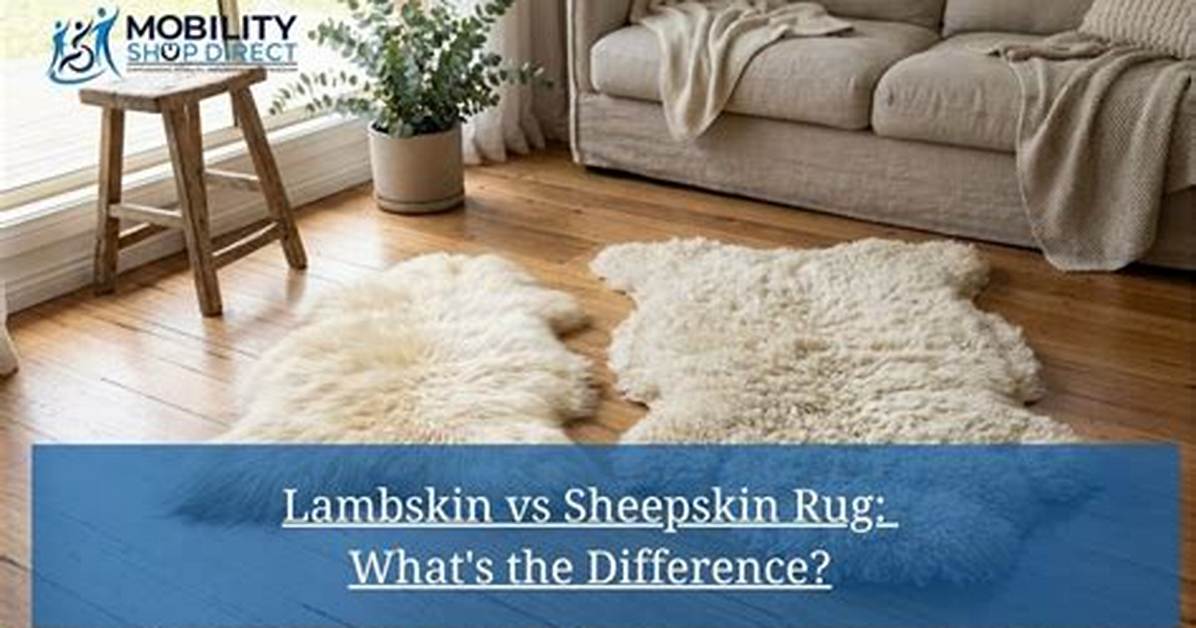 The Difference Between a Sheepskin Rug and a Lambskin Rug