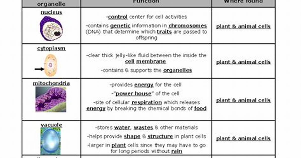 The Different Parts of The