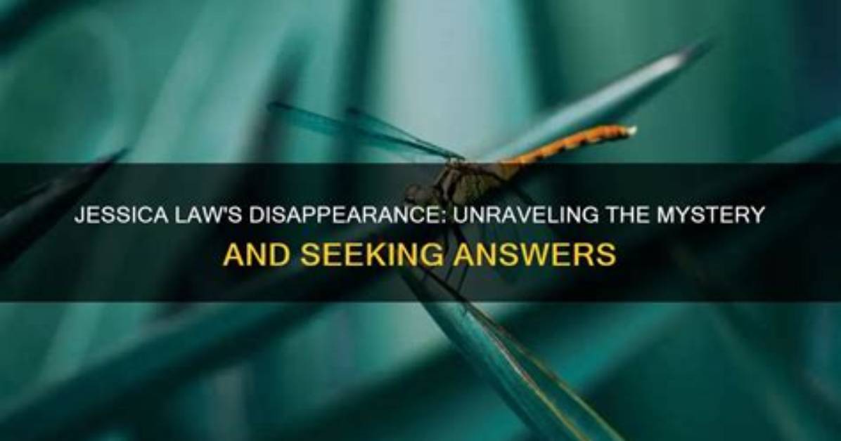 The Disappearance of Jessica Tarlove Unraveling the Unsolved