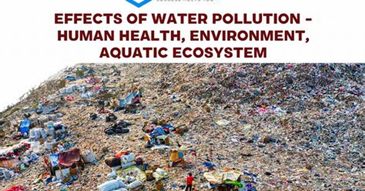 The Effects of Water On