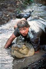 The Enduring Legacy of Steve Irwin: a Conservation Icon