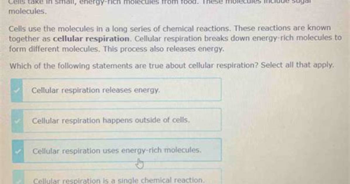 The Energy Released When Sugar Molecules Are Broken Down Is Stored In