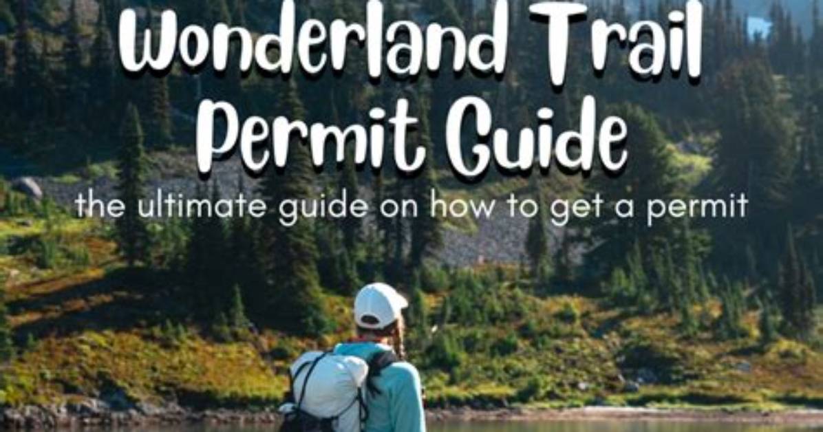 The Essential Guide to Erin Scheidt Exploring Her Impact And