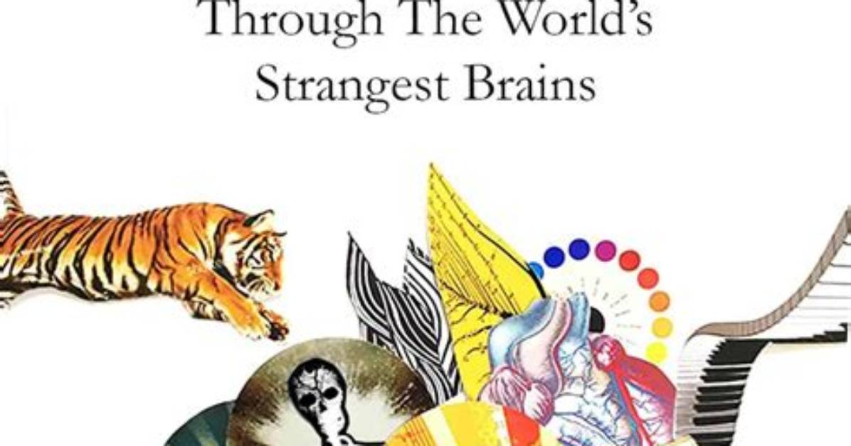 The Extraordinary Journey of the World S Littlest Lady Meet the Shortest Woman On