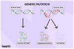 The Genetic Mutation That Causes Kraken Covid to Spread