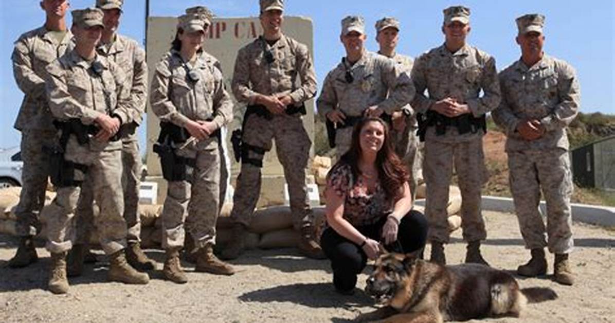 The Heartwarming Bond: Megan Leavey and Matt Morales's Marital Journey