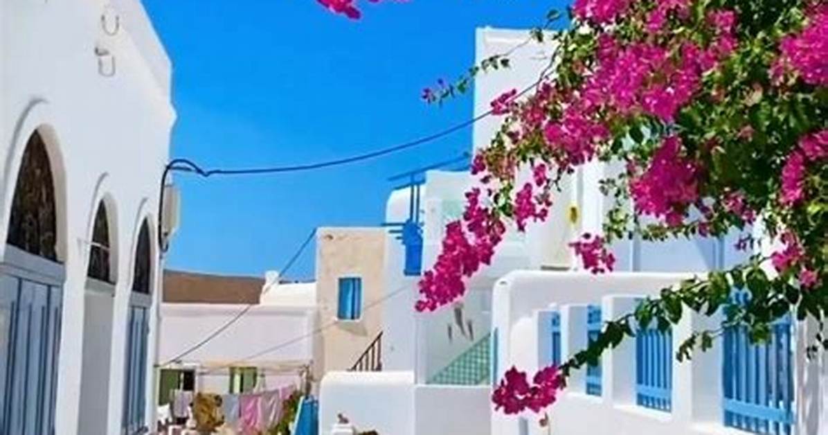 The Insider S Guide to Dirty Greek Uncovering the Underground