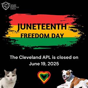 The Inspiring Mission of the Cleveland Animal Protective League: a Beacon of Hope for Animals
