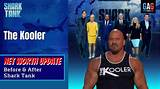 The Kooler Net Worth: a Comprehensive Insight into Their Success
