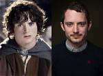 The Lord of the Rings: Frodo Actor - Who Played Him?