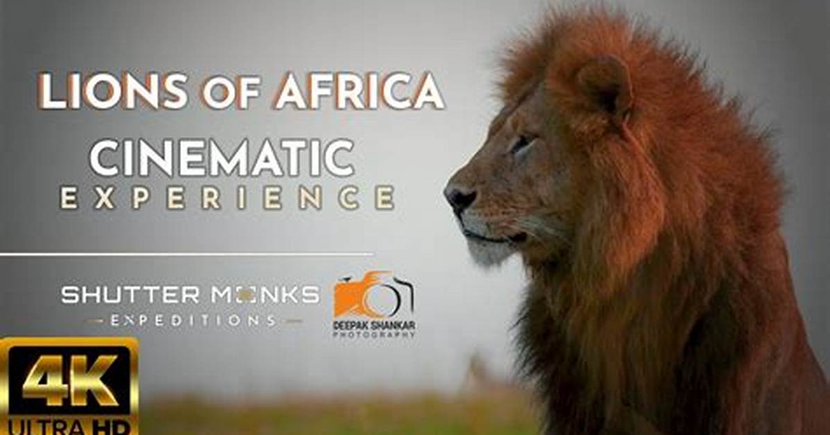 The Majestic Lions of Africa: a Cinematic Adventure