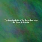 The Meaning Behind the Song: Amor De Mis Amores by La Sonora Dinamita