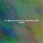 The Meaning Behind the Song: Cameltoe by Fannypack