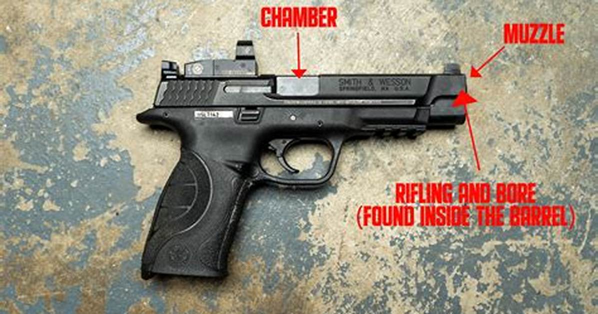 The Meaning of Gun By