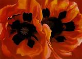 The Meaning of Oriental Poppies by Georgia O'keeffe