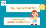 The Meaning of Summer Days by Georgia O'keeffe