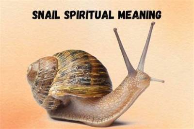 The Meaning of " "The Snail by Henri Matisse