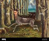 The Meaning of the Wounded Deer by Frida Kahlo