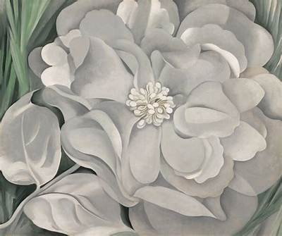 The Meaning of White Calico Flower by Georgia O'keeffe