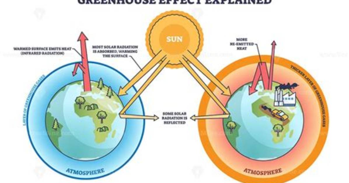 The Methodology of a Greenhouse vs a Hoop