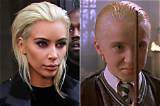 The Mystique and Legacy of the Malfoy Pureblood Lineage