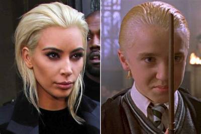 The Mystique and Legacy of the Malfoy Pureblood Lineage