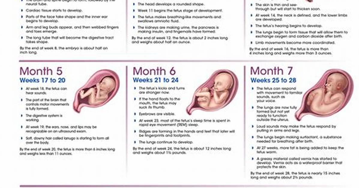 The Pregnancy Journey of Former First