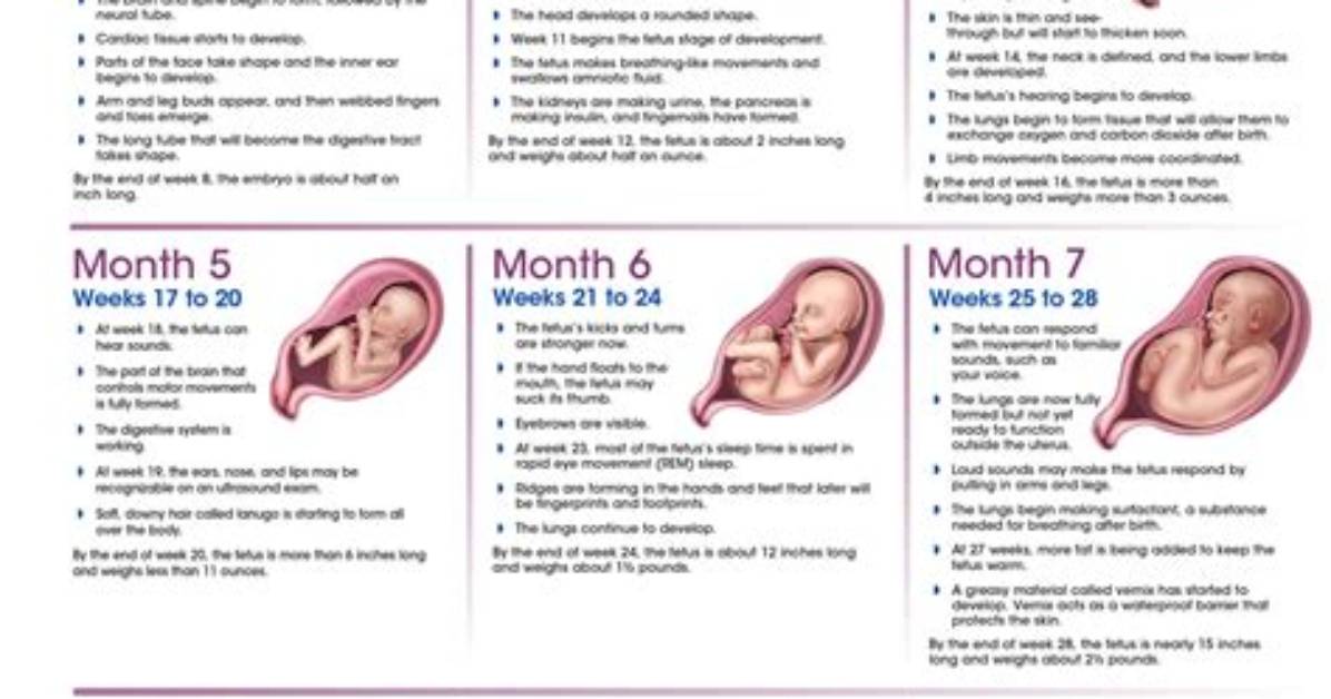 The Pregnancy Journey of Former